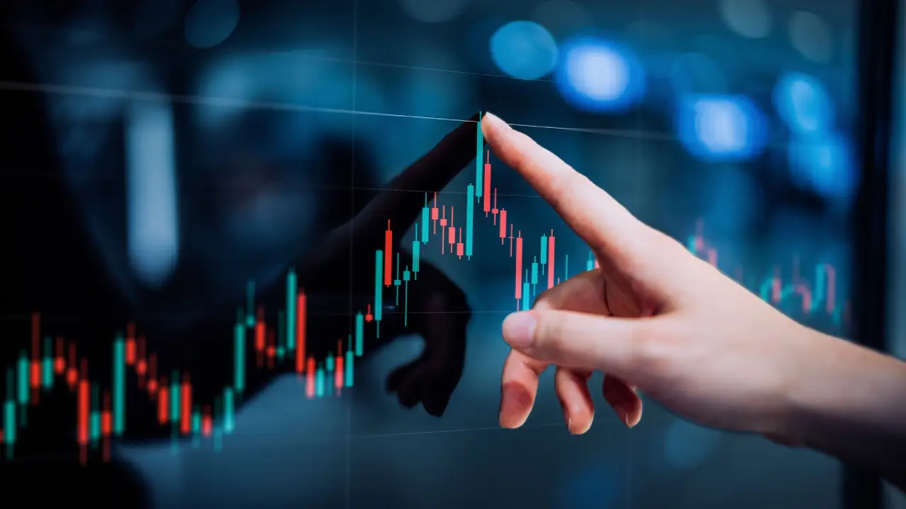 An advisor reviewing a long-term plan with a client